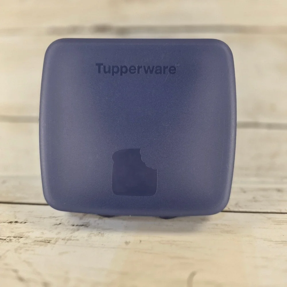 Tupperware Sandwich Keeper Navy Blue Hinged Lid Food Storage Container 8203A-1
